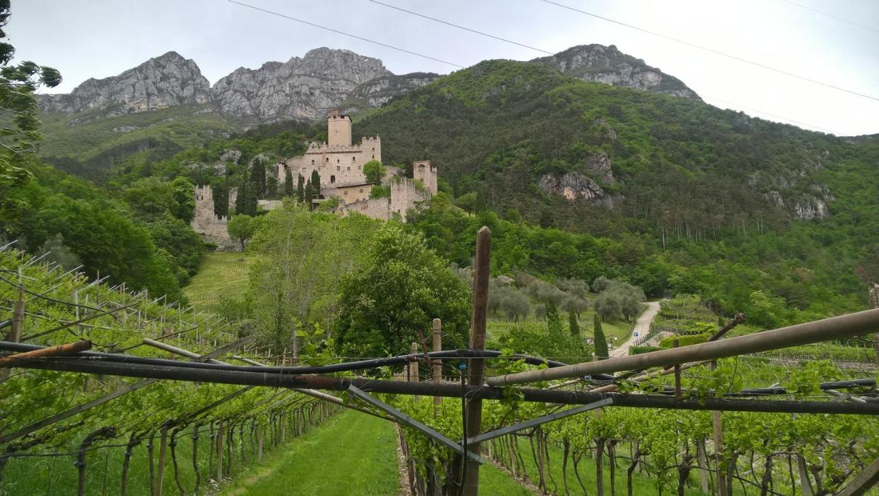 Appartamenti Camere Masi Brenta Rovereto  Eksteriør bilde